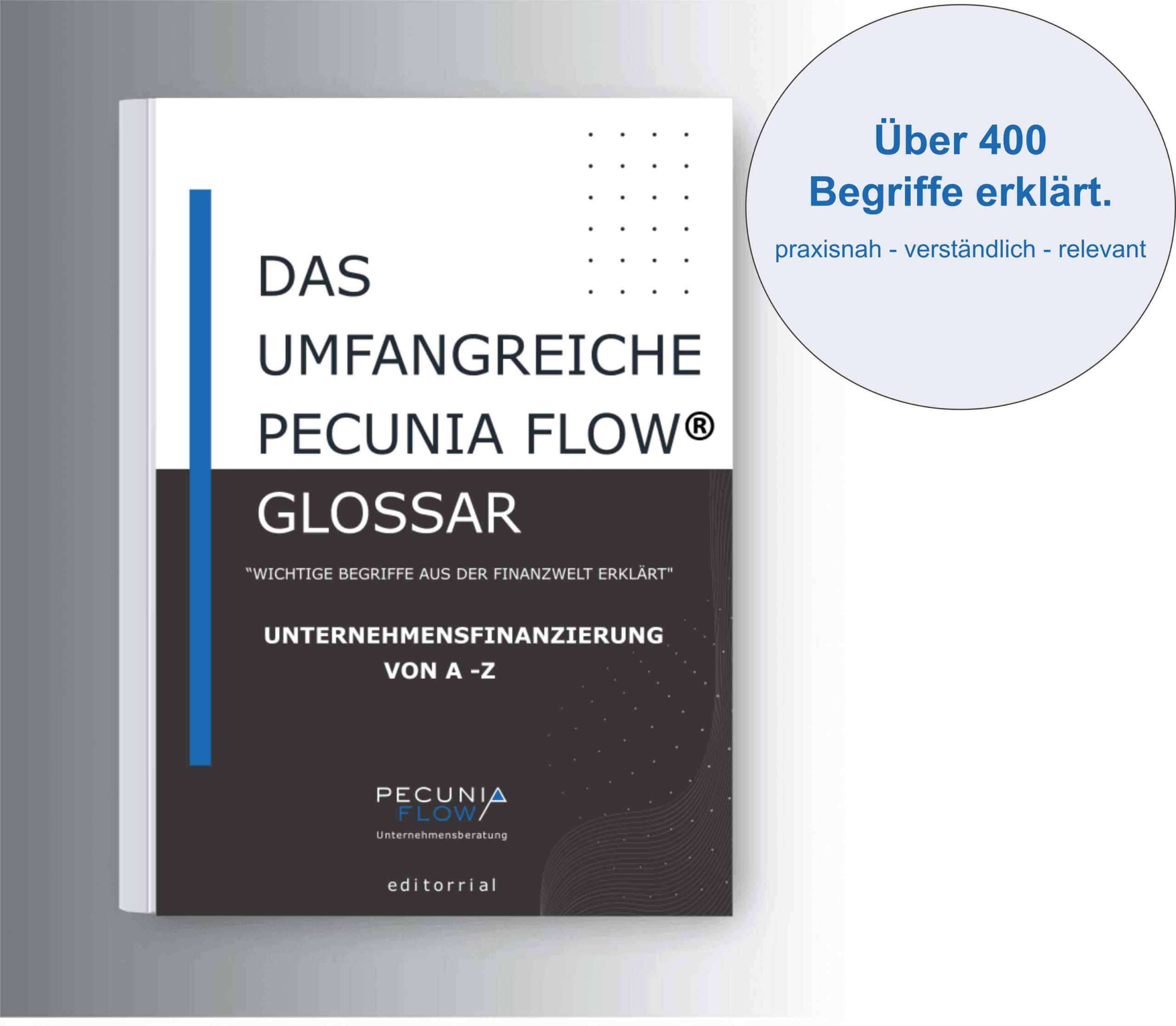 Pecunia Flow Unternehmensberatung Dennis Kahl Münster Glossar Cover Hauptseite
