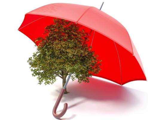 Pecunia Flow Unternehmensberatung Dennis Kahl Münster BÜRGSCHAFTEN WERDEN ZUM TREND