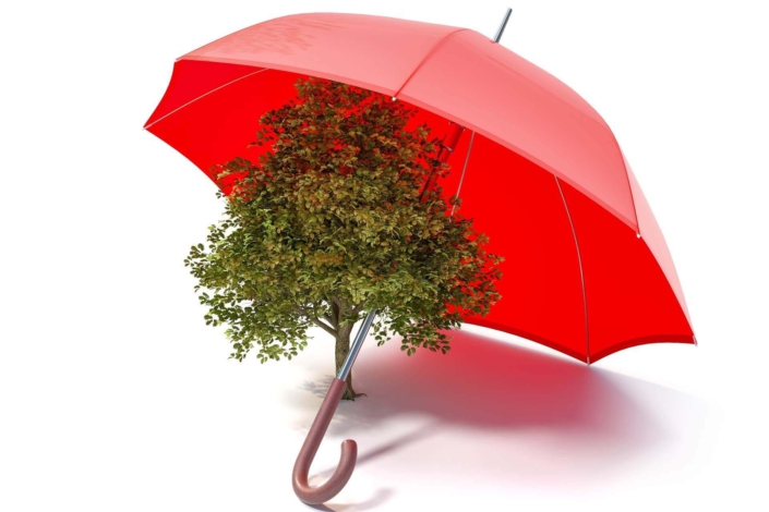 Pecunia Flow Unternehmensberatung Dennis Kahl Münster BÜRGSCHAFTEN WERDEN ZUM TREND Pecunia Flow Unternehmensberatung Dennis Kahl Münster BÜRGSCHAFTEN WERDEN ZUM TREND