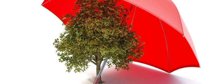 Pecunia Flow Unternehmensberatung Dennis Kahl Münster BÜRGSCHAFTEN WERDEN ZUM TREND