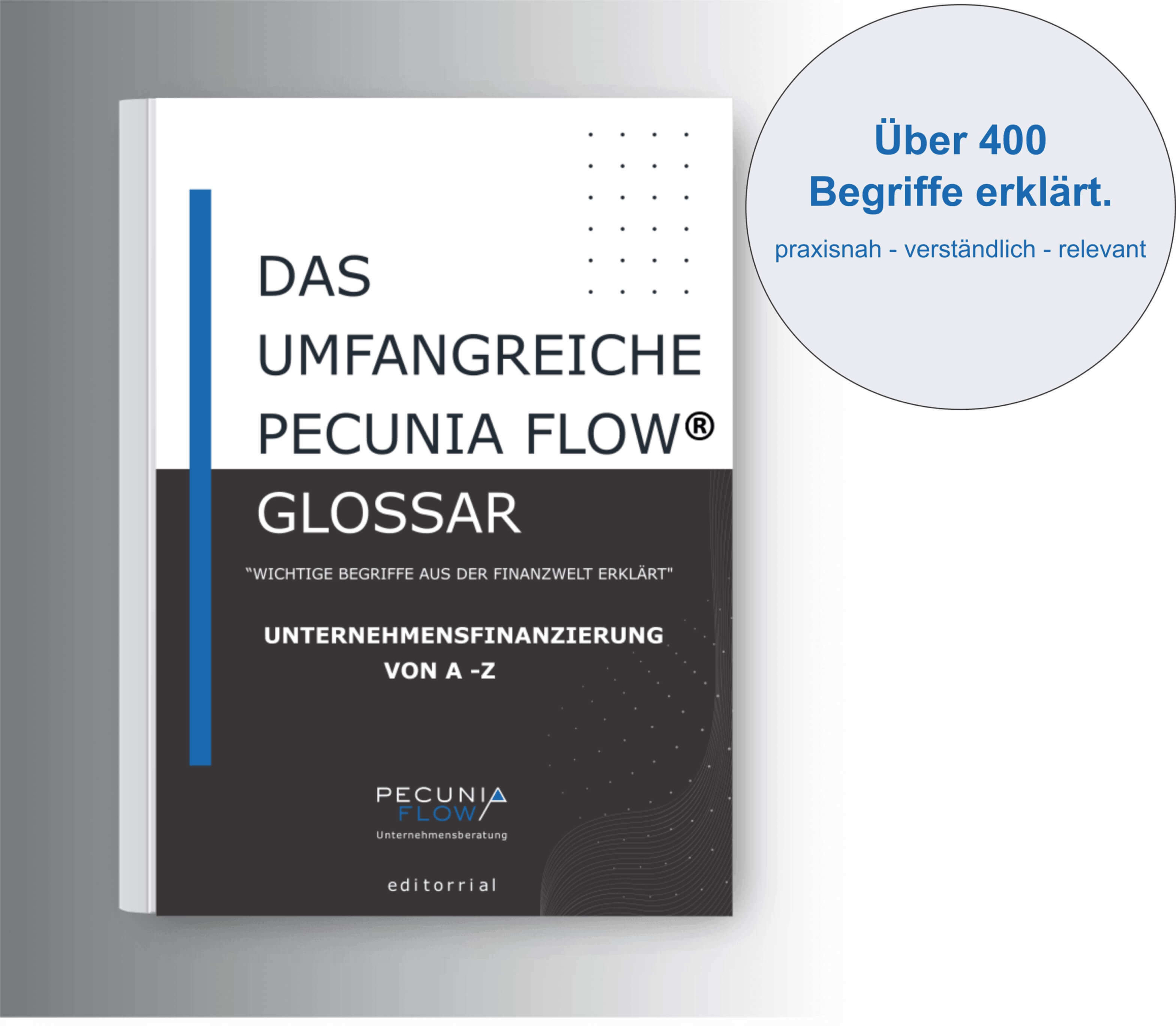 Pecunia Flow Unternehmensberatung Dennis Kahl Münster Glossar Cover Hauptseite (1) Pecunia Flow Unternehmensberatung Dennis Kahl Münster Glossar Cover Hauptseite