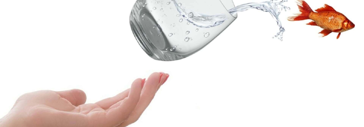 Pecunia Flow Unternehmensberatung Dennis Kahl Münster MIT FACTORING FREIRÄUME SCHAFFEN