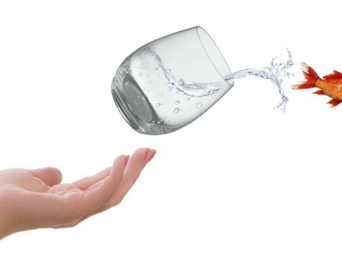 Pecunia Flow Unternehmensberatung Dennis Kahl Münster MIT FACTORING FREIRÄUME SCHAFFEN