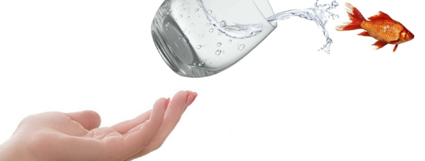 Pecunia Flow Unternehmensberatung Dennis Kahl Münster MIT FACTORING FREIRÄUME SCHAFFEN