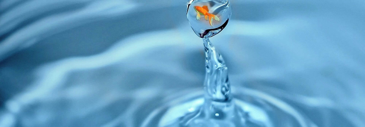 Pecunia Flow Unternehmensberatung Dennis Kahl Münster Einkaufsfinanzierung MIT FINETRADING LIQUIDITÄT ERHALTEN