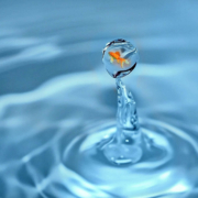 Pecunia Flow Unternehmensberatung Dennis Kahl Münster MIT FINETRADING LIQUIDITÄT ERHALTEN Pecunia Flow Unternehmensberatung Dennis Kahl Münster Einkaufsfinanzierung MIT FINETRADING LIQUIDITÄT ERHALTEN