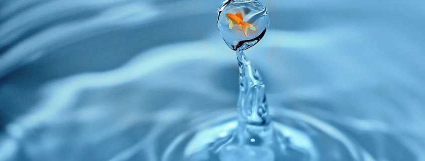 Pecunia Flow Unternehmensberatung Dennis Kahl Münster Einkaufsfinanzierung MIT FINETRADING LIQUIDITÄT ERHALTEN