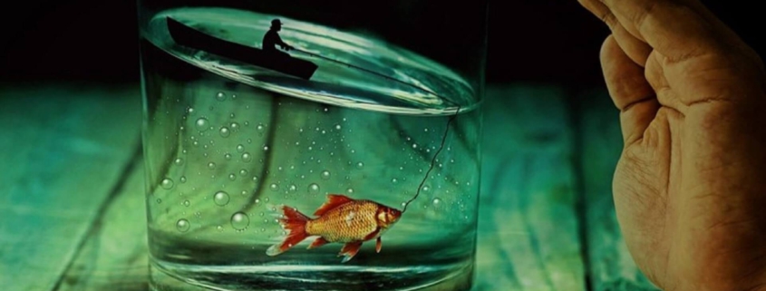 Pecunia Flow Unternehmensberatung Dennis Kahl Münster MIT LEASING POTENZIALE AUSSCHÖPFEN