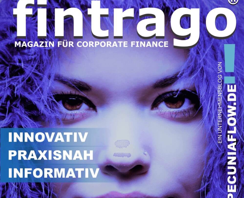 Pecunia Flow Unternehmensberatung Dennis Kahl Münster Magazin Blog Cover Promo