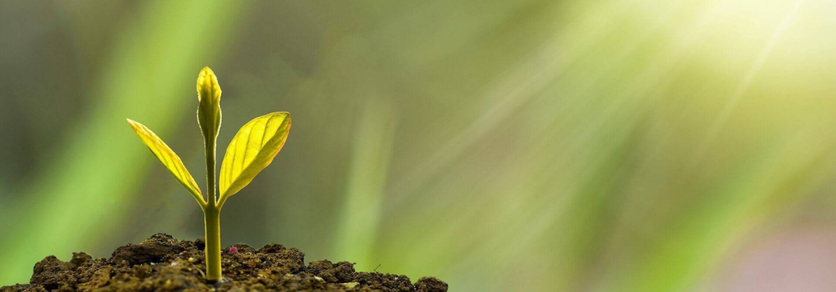 Pecunia Flow Unternehmensberatung Dennis Kahl Münster WARENEINKAUFSFINANZIERUNG STÄRKT WACHSTUM