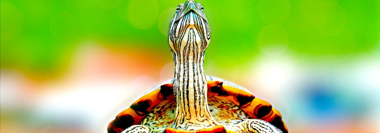 Pecunia Flow Unternehmensberatung Dennis Kahl Münster Immobilienblase