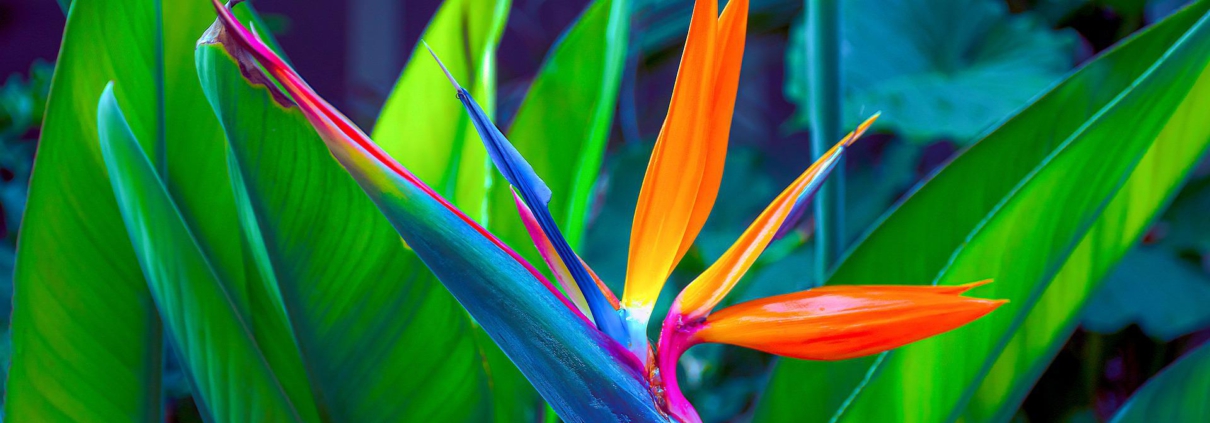 Pecunia Flow Unternehmensberatung Dennis Kahl Lieferketten