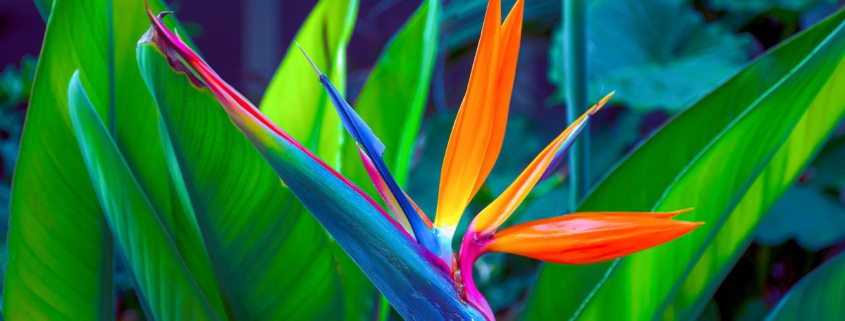 Pecunia Flow Unternehmensberatung Dennis Kahl Lieferketten