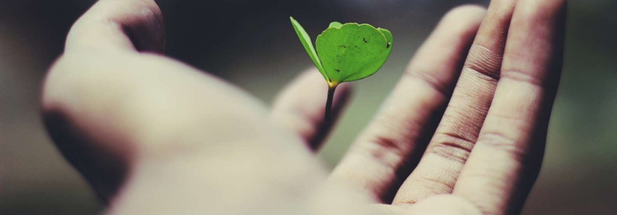 Pecunia Flow Unternehmensberatung Dennis Kahl Münster Umsatzbasierte Finanzierung wann ist es sinnvoll