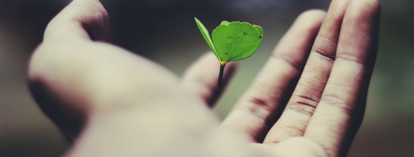 Pecunia Flow Unternehmensberatung Dennis Kahl Münster Umsatzbasierte Finanzierung wann ist es sinnvoll