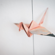 Pecunia Flow Unternehmensberatung Dennis Kahl Münster Sale and Lease Back Pecunia Flow Unternehmensberatung Dennis Kahl Münster Sale and Lease Back