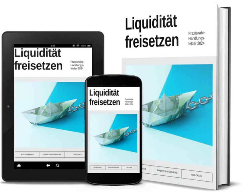 Pecunia Flow Unternehmensberatung Dennis Kahl Münster ebook Liquidität freisetzen Pecunia Flow Unternehmensberatung Dennis Kahl Münster ebook Liquidität freisetzen