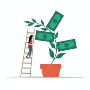 Pecunia Flow Unternehmensberatung Dennis Kahl Münster Revenue Based Financing als flexible Black Week Finanzierung Revenue Based Financing: Flexible Black Week-Finanzierung