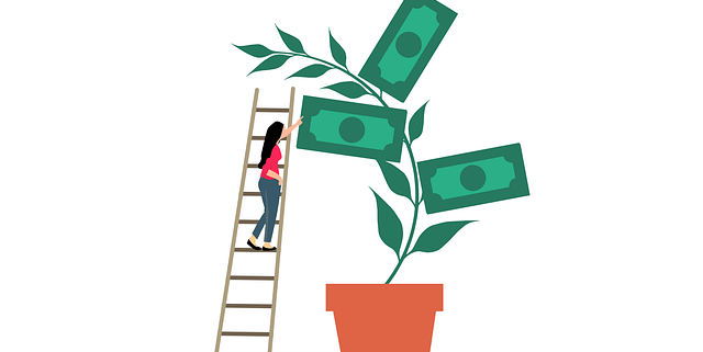 Revenue Based Financing: Flexible Black Week-Finanzierung