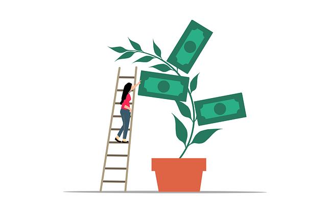 Revenue Based Financing: Flexible Black Week-Finanzierung