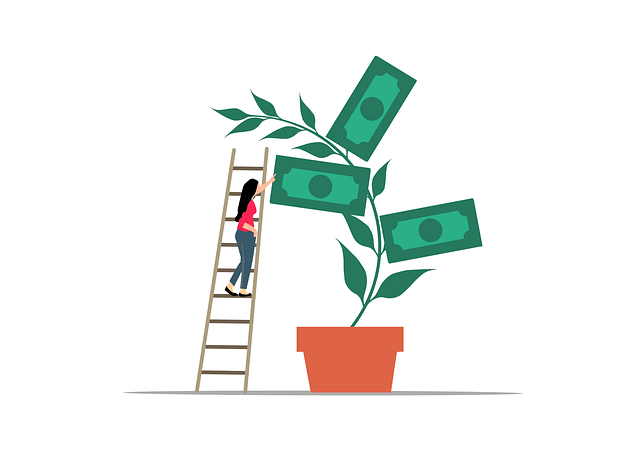 Pecunia Flow Unternehmensberatung Dennis Kahl Münster Revenue Based Financing als flexible Black Week Finanzierung Revenue Based Financing: Flexible Black Week-Finanzierung