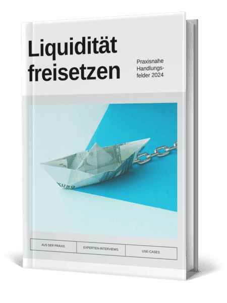 Kostenloses eBook Liquidität freisetzen und Innenfinanzierung nutzen – KMU Leitfaden von Dennis Kahl